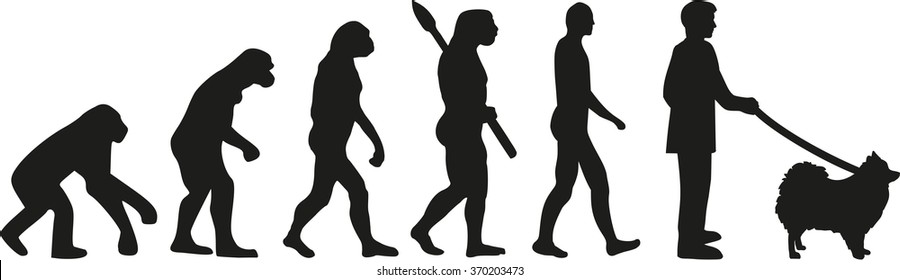 Pomeranian evolution