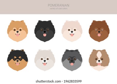 Pomeranian German spitz clipart. Different poses, coat colors set.  Vector illustration