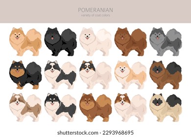 Pomeranian German spitz clipart. Different poses, coat colors set.  Vector illustration