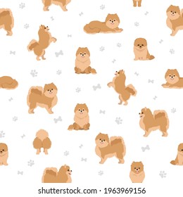 Pomeranian German spitz seamless pattern. Different poses, coat colors set.  Vector illustration