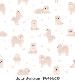 Pomeranian German spitz seamless pattern. Different poses, coat colors set.  Vector illustration