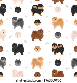 Pomeranian German spitz seamless pattern. Different poses, coat colors set.  Vector illustration