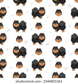 Pomeranian German spitz seamless pattern. Different poses, coat colors set.  Vector illustration