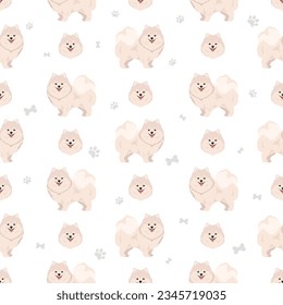 Pomeranian German spitz seamless pattern. Different poses, coat colors set.  Vector illustration