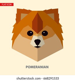Pomeranian head vector illustration. It can be used as - logo, pictogram, icon, infographic element.