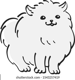 Pomeranian monochrome cute puppy popular dog