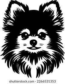 Pomeranian outline only, dog head, vector illustration, black color, vector image