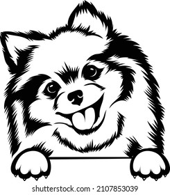 Pomeranian Peeking Dog Vector Image Cute Dog And Paw Ready To Print Cricut Cut Design