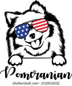 Pomeranian Peeking Dog Vector Image Outline Silhouette Pomeranian Dog In Sunglasses Usa Flag Patriotic Dog 
