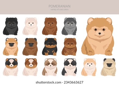 Pomeranian puppies, German spitz pups clipart. Different poses, coat colors set.  Vector illustration