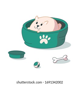 Pomeranian puppy lying in the bed. Vector illustration in cute cartoon style