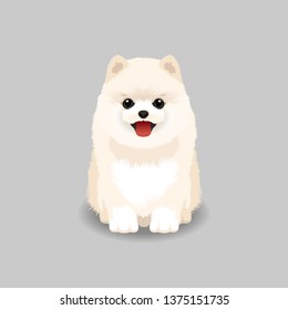 Pomeranian Puppy Vector Illustration. Dog Isolated