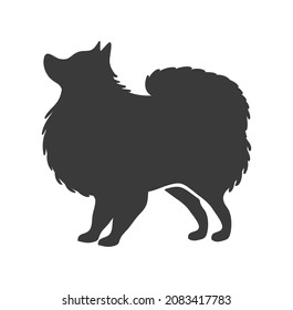 Pomeranian silhouette. Fluffy spitz home dog stencil, vector icon isolated on white background