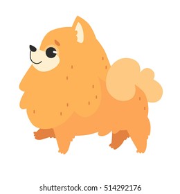 Pomeranian Cartoon Images / Download the perfect cartoon pictures