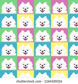 pomeranian spitz bright vector pop art