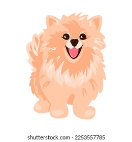 Pomeranian Spitz cream on white background. Cute Poms puppies. Small German spitz. Little dogs. Vector illustration