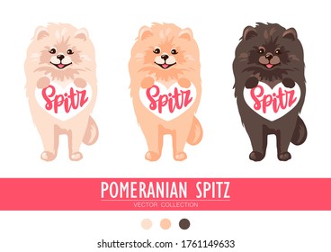 Pomeranian Spitz cream, orange and dark isolated on white background. Cute Poms puppies. Small German spitz. Little dogs. Vector stock illustration. Fluffy pets. Domestic animals in cartoon style.