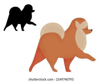 Der pommerliche Spitz Hund züchtet Wanderungen. Beliebtes Spielzeugtier in kleiner Größe in buntem Cartoon-Stil und Umrisssilhouette.