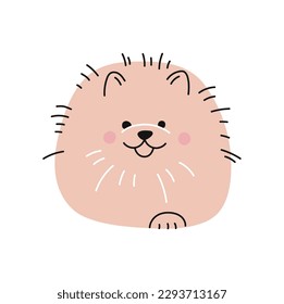 Pomeranian spitz dog cute puppy pet character. Vector funny animal doodle, cartoon puppy character design. Vector adorable dog german spitz portrait