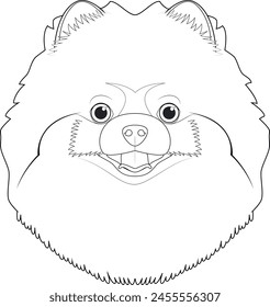 Pomeranian or Spitz dog easy coloring cartoon vector illustration. Isolated on white background