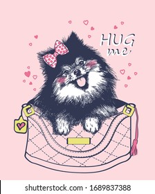 Pomeranian spitz dog puppy hand drawn sitting in bag with bow on head vector illustration print for t shirt