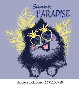 Pomeranian spitz dog puppy hand drawn with sunglasses and palm leaf vector illustration