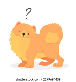 A pomeranian spitz dog with a question mark. Dog question. An uncomprehending dog with its head tilted. Vector pet illustration.