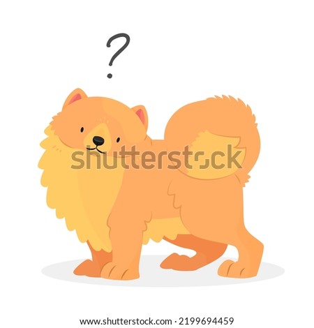 A pomeranian spitz dog with a question mark. Dog question. An uncomprehending dog with its head tilted. Vector pet illustration.