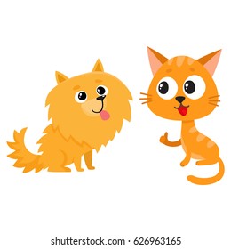 Pomeranian spitz dog and red cat, kitten characters, friendship concept, cartoon vector illustration isolated on white background. Lovely spitz dog and red cat characters, friends playing together