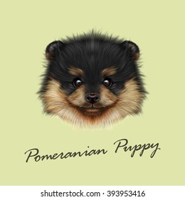 Pomeranian Spitz dog vector illustrated portrait. Cute face of puppy on green background.