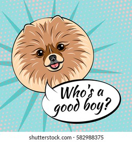 Pomeranian spitz dog. Who is a good boy. Vector illustration isolated on pop art background