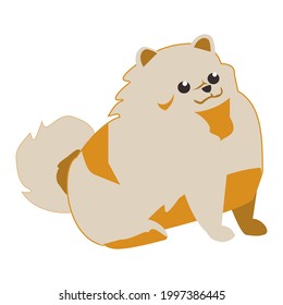 Pomeranian spitz Flat vector icon illustration on white background