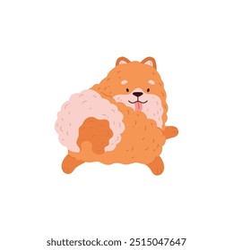 Pomeranian Spitz. Happy fluffy dog lies, resting. Little puppy. Friendly pet. Domestic animals. Cartoon style. Clipart. Vector illustration isolated on white background.