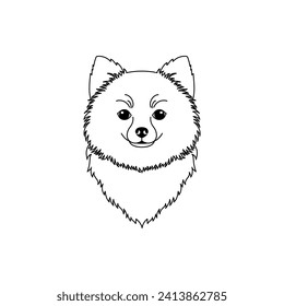 Pomeranian spitz icon in line art style on white background.