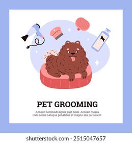 Spitz Pomerânia está sobre um travesseiro rosa. Um secador de cabelo, um pente e um shampoo para cães estão voando ao redor. Feliz cachorrinho fofo. Limpeza de animais. Cartaz. Ilustração vetorial isolada sobre fundo branco.