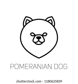 Pomeranian spitz linear face icon.  Isolated outline dog head vector 