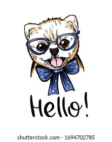 Pomeranian spitz puppy in blue glasses and a bow tie with the inscription hello. For printing postcards, prints for t-shirts, and other designs.