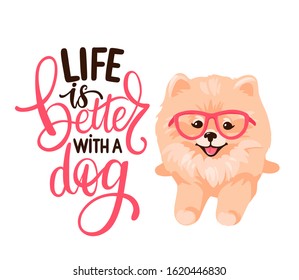 Pomeranian Spitz puppy with glasses lying isolated on white background. Life is better with a dog. Small German spitz. Little dog vector stock illustration. Domestic animal in cartoon style.