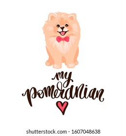Pomeranian Spitz puppy and lettering - My pomeranian. Smiling face of cute Pom puppy and positive phrase. Fluffy pet in cartoon style isolated on white background. Vector stock illustration.