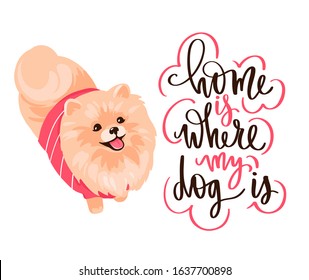 Pomeranian Spitz puppy and lettering phrase. Smiling face of cute Pom puppy and positive quote. Fluffy pet in cartoon style isolated on white. Vector stock illustration. Home is where my dog is.