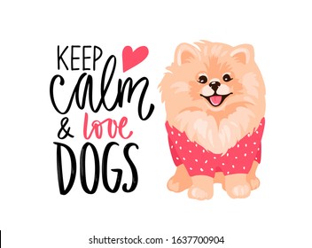 Pomeranian Spitz puppy and lettering phrase. Smiling face of cute Pom puppy and positive quote. Fluffy pet in cartoon style isolated on white. Vector stock illustration. Keep calm and love dogs.