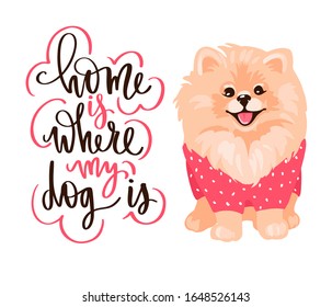 Pomeranian Spitz puppy and lettering phrase. Cute Pom puppy in clothes and positive quote. Fluffy pet in cartoon style isolated on white. Vector stock illustration. Home is where my dog is.