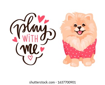 Pomeranian Spitz puppy and quote - Play with me. Smiling face of cute Pom puppy and positive phrase. Fluffy pet in cartoon style isolated on white background. . Vector stock illustration.