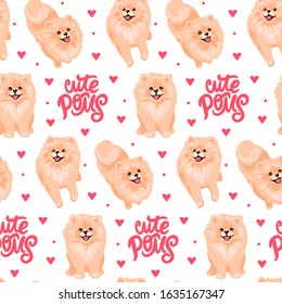 Pomeranian Spitz puppy seamless pattern. Small German spitz all over print background. Little smile dog vector stock illustration. Domestic animal in cartoon style repeat design.