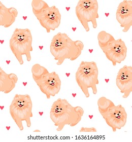 Pomeranian Spitz puppy seamless pattern. Small German spitz all over print background. Little smile dog vector stock illustration. Domestic animal in cartoon style repeat design.