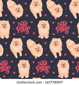 Pomeranian Spitz puppy seamless pattern. Small German spitz all over print background. Little smile dog vector stock illustration. Domestic animal in cartoon style repeat design.