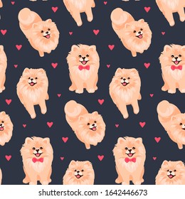 Pomeranian Spitz puppy seamless pattern. Small German spitz all over print background. Little smile dog vector stock illustration. Domestic animal in cartoon style repeat design.