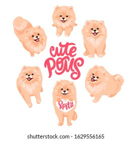 Pomeranian Spitz Set Isolated On White Background. Cute Poms Puppies. Small German Spitz. Little Fluffy And Fashion Pets In Cartoon Style. Ideal For Stickers, Dog Salon Or Animals Shop Logo.