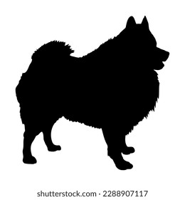 Pomeranian Spitz silhouette. Pet. Animal. Vector isolated. Breed