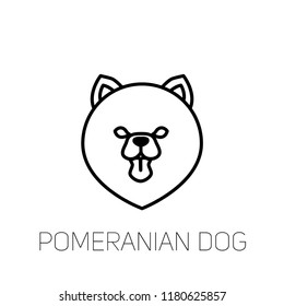 Pomeranian spitz tongue out. Dog breed linear face icon.  Isolated vector line dog head
